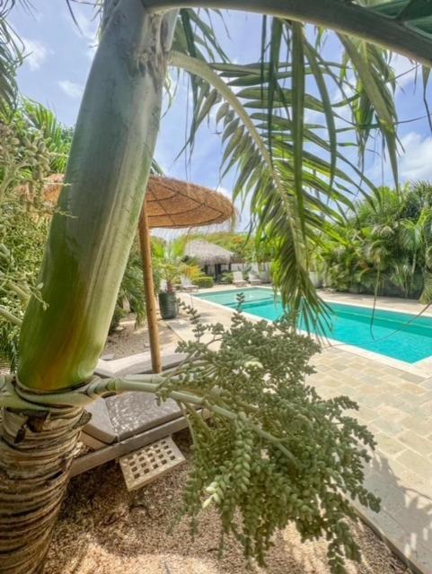 Puur Bonaire Boetiekhotel Belnem 외부 사진